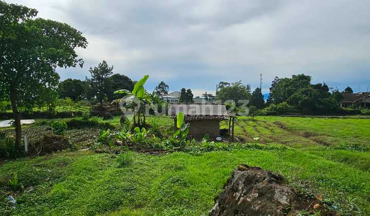 Dijual tanah di komp. Coolibah, Puncak view ke Gunung langsung harga dibawah NJOP Loohh , Yakin Ga Mau Bisa Bangun Resort Atau Hotel Capsul Dengan View Yang Keren Banget BossQue !! 