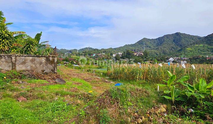 Tanah di Puncak Lokasi Strategis Harga Obral Habis 50% NJOP 3