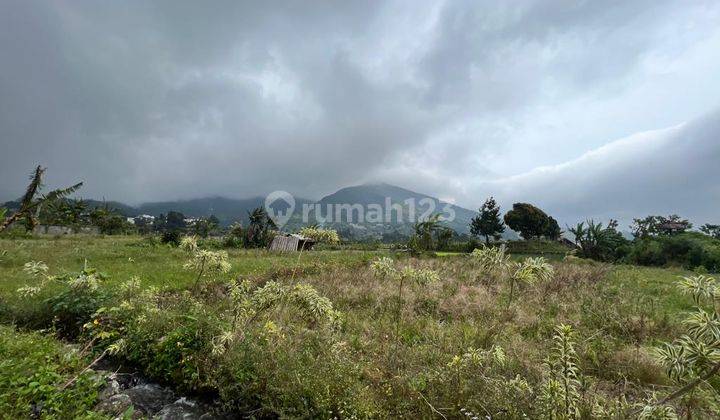 Turun Lagi Dibawah Njop Tanah Area Elite Puncak Mountainview 1