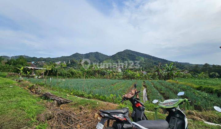 Tanah di Puncak Lokasi Strategis Harga Obral Habis 50% NJOP 5