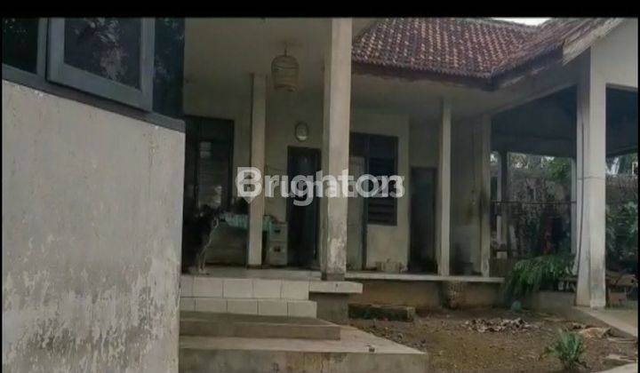 RUMAH BURUNG WALET DI BANGSALSARI JEMBER 2