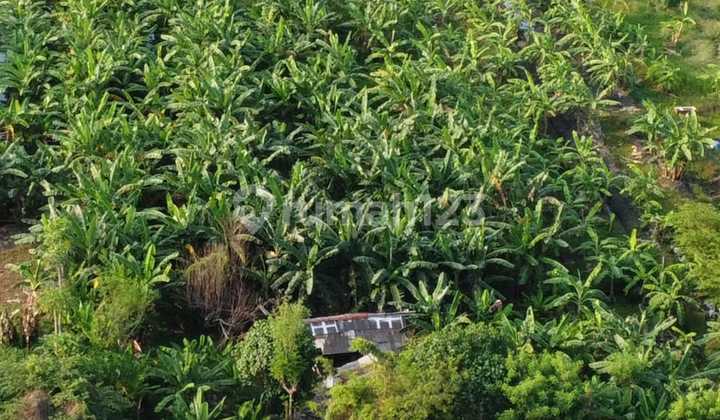 Land for Padel and Car Wash, etc. Land