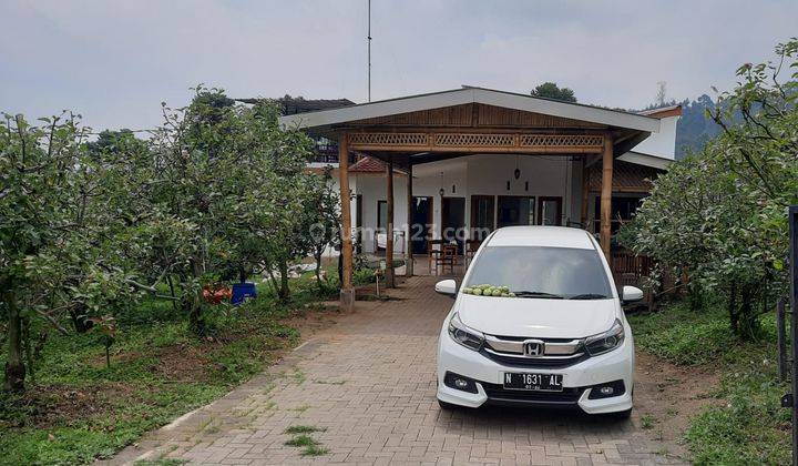 Rumah Bentuk L Luas Plus Pohon Apel Dan Alpukat Di Pujon Malang 2