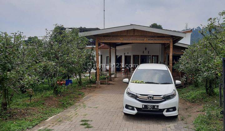 Rumah Luas Plus Kebun Apel Strategis di Pujon Malang  1