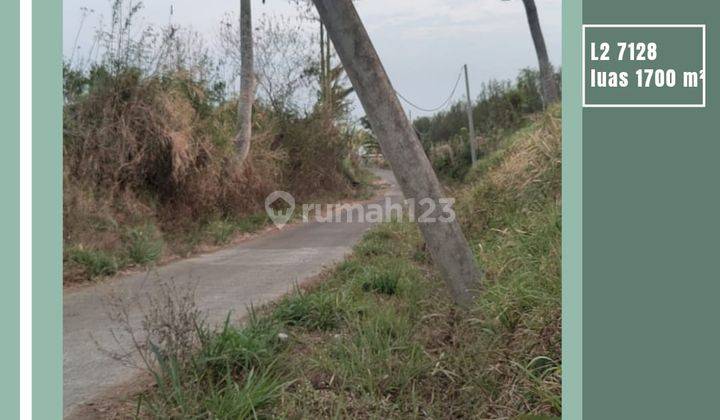 Tanah Luas Poros Jalan Aspal Murah Bagus Untuk Inves Di Malang 1