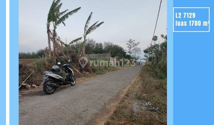 Edisi Bu Tanah Murah Poros Jalan Aspal Karangploso Malang 1