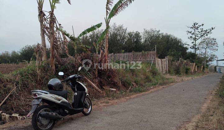Edisi Bu Tanah Murah Poros Jalan Aspal Karangploso Malang 2