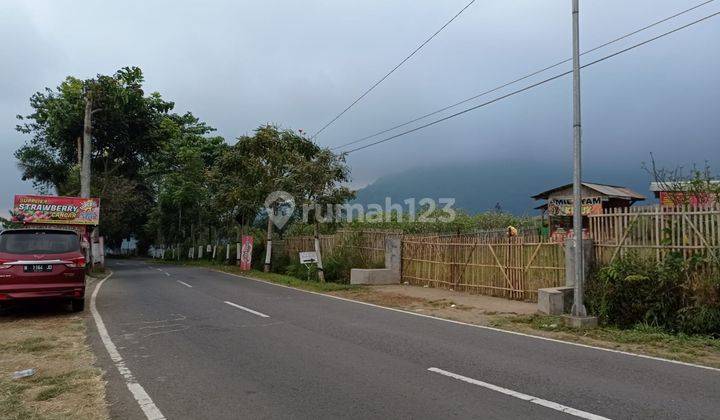 Tanah Poros Bagus Utk Usaha Strategis Asri Sejuk Di Junggo Batu 2