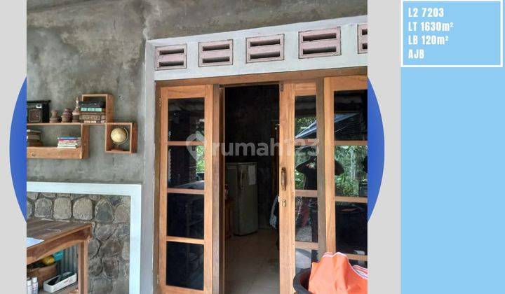 Rumah Plus Tanah Pohon Durian Luas Furnished Di Kasembon Malang 1