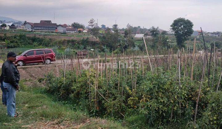 Tanah subur DAN strategis di Sumberejo Batu 1