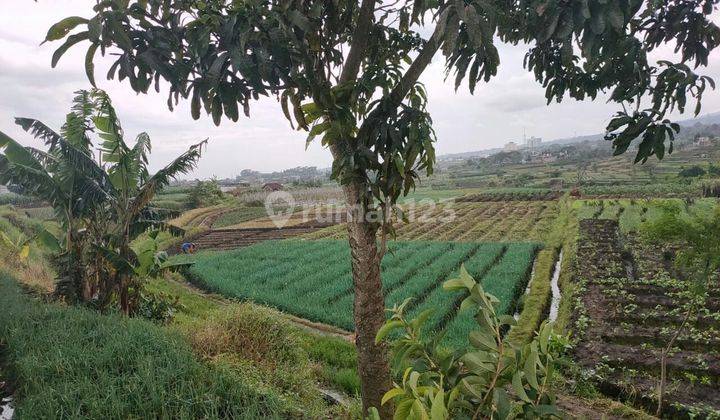 TANAH SUBUR HARGA ISTIMEWA DI BELAKANG LIPPO PLAZA BATU. 1