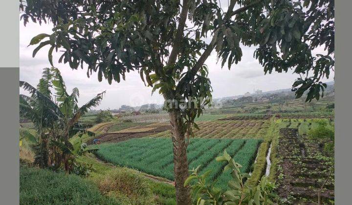 TANAH SUBUR HARGA ISTIMEWA DI BELAKANG LIPPO PLAZA KOTA BATU. 1