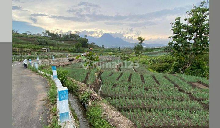 TANAH SAWAH SUBUR HARGA BAGUS DI TEMAS KOTA BATU 1