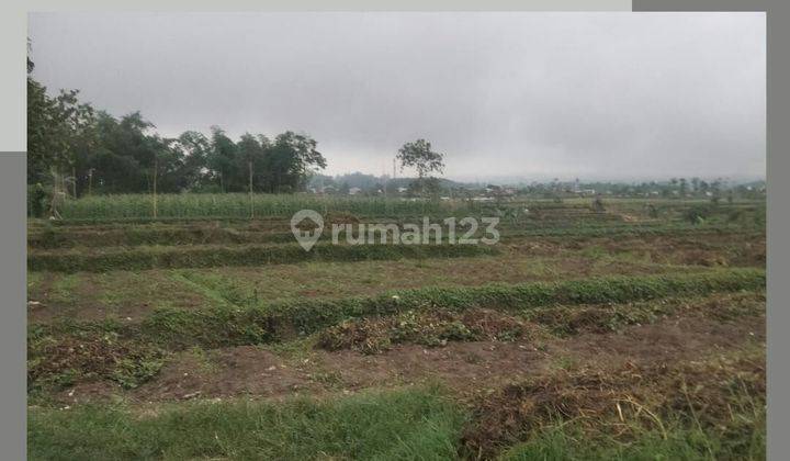 TANAH LUAS SUBUR HARGA BAIK DI JUNREJO KOTA BATU. 1