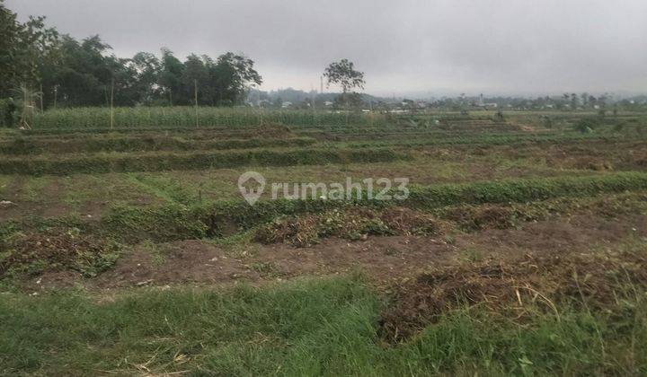 TANAH LUAS SUBUR HARGA BAIK DI JUNREJO KOTA BATU. 2