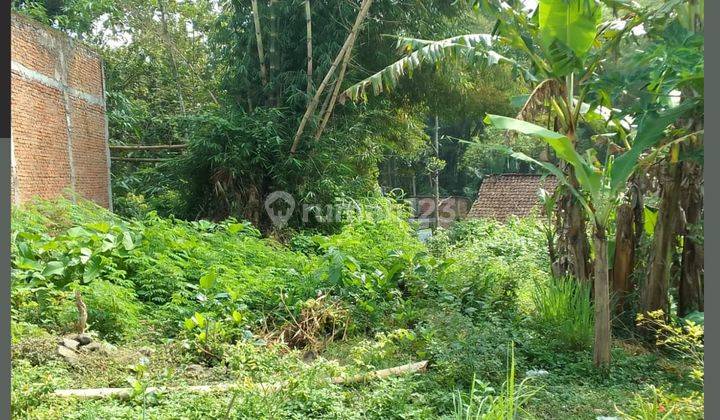 Tanah Kavling Siap Bangun Dekat Sekolah Dan Ponpes Pakis Malang 1