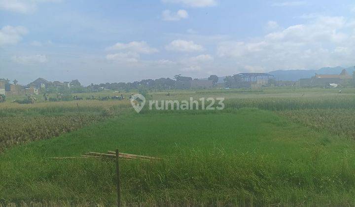 Tanah Sawah Subur Luas Nego Strategis Dari Exit Tol Pakis Malang 2