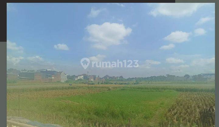 Tanah Sawah Subur Luas Nego Strategis Dari Exit Tol Pakis Malang 1