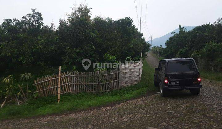 TANAH KEBUN SUBUR HARGA ISTIMEWA DI BUMIAJI KOTA BATU.  1