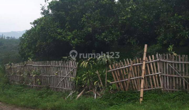 TANAH KEBUN SUBUR HARGA ISTIMEWA DI BUMIAJI KOTA BATU.  2