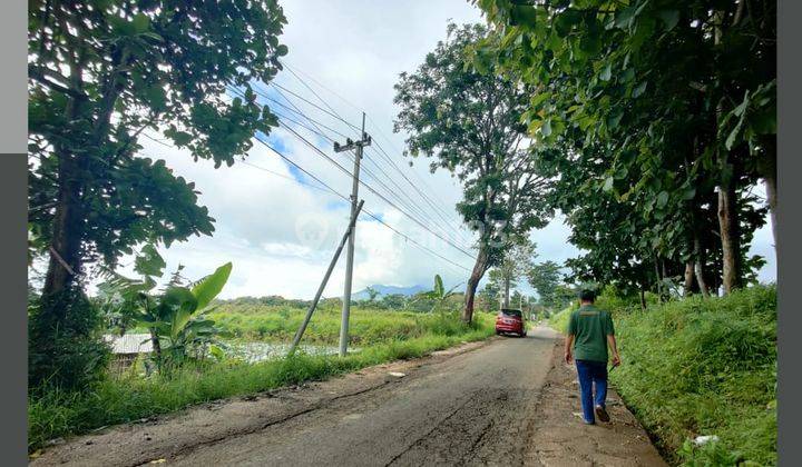 Jual Cepat Tanah Harga Murah Strategis Dekat Kampus Uin Malang 1