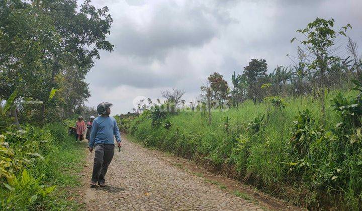 TANAH KEBUN SUBUR HARGA BAIK DI SUMBERGONDO KOTA BATU. 2