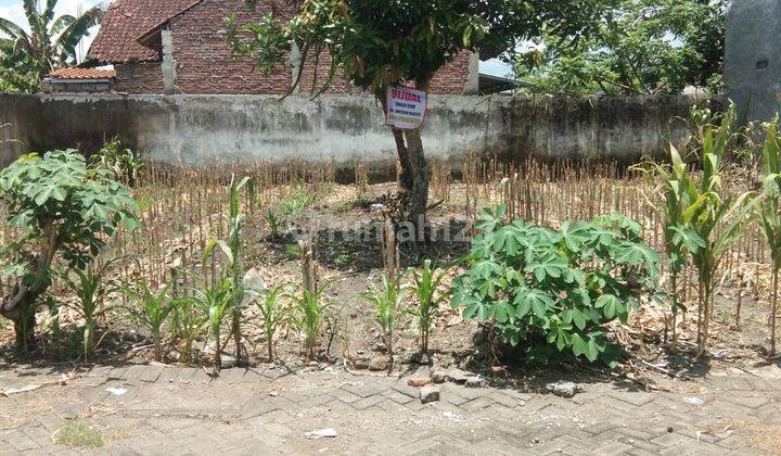 Tanah Murah Cocok Unruk Kos Di Lingkungan Dekat Unej Jember 2