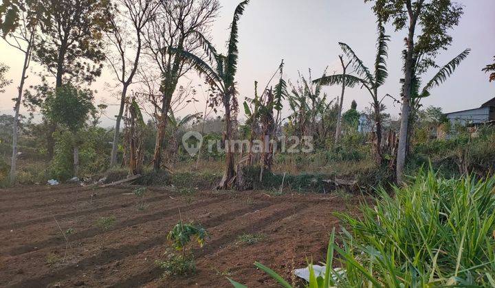 Tanah Super Murah Luas Strategis di Karangploso Malang  2