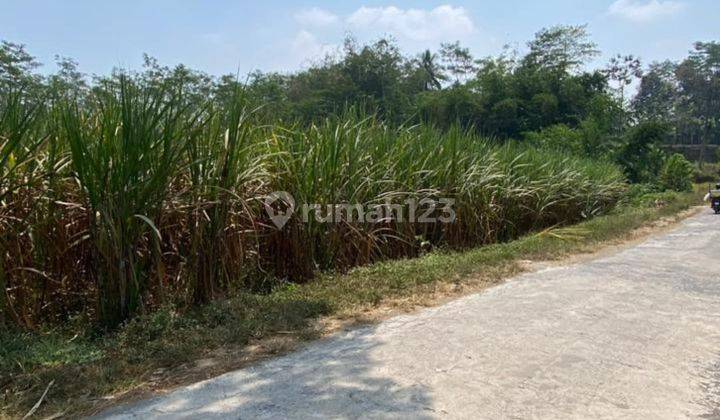 Tanah Bagus Untuk Bertani Depan Aliran Sungai Di Tlogowaru Malang 1