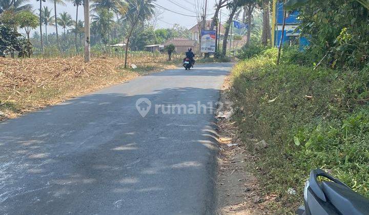 Tanah Luas Murah Strategis Untuk Pertanian di Kota Malang  2