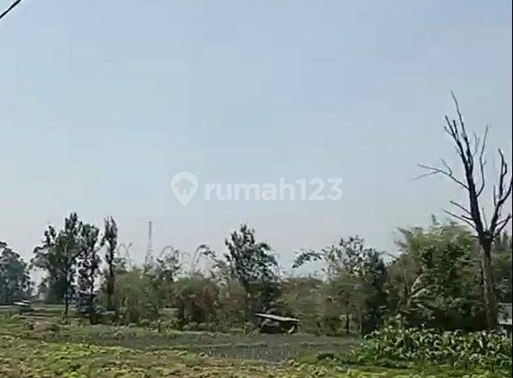 Tanah Termurah Luas View Sempurna Akses Mobil Dekat Balaikota Batu 2