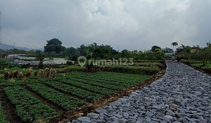 Edisi Bu Tanah Subur View Menawan Murah Strategis di Kota Batu 2