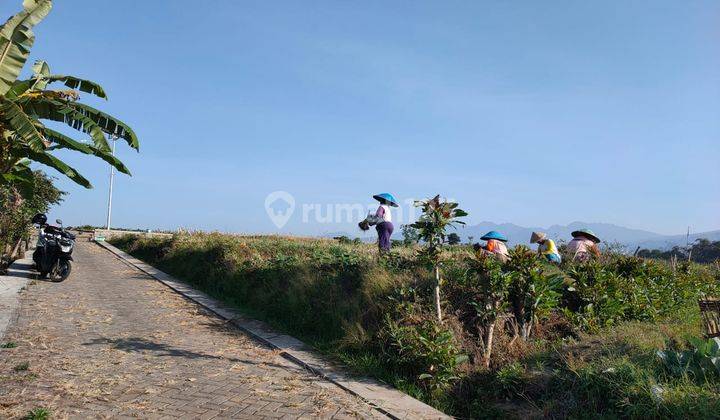 Tanah Sawah Luas Subur View Bagus Menawan di Kota Batu 2