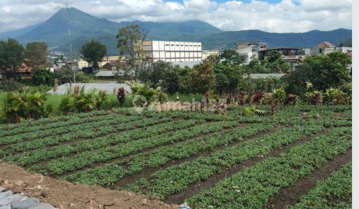 Tanah Bagus Untuk Pertanian Subur Sayur Atau Buah Di Kota Batu 1