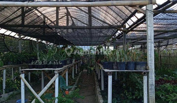 Tanah Kebun Subur Untuk Tanaman Bunga Luas Termurah Di Kota Batu 1