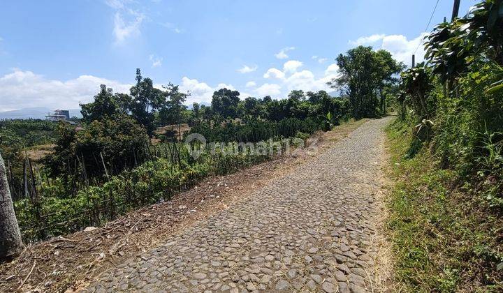 Tanah Subur Luas View 360 Cocok Untuk Berkerbun Dataran Tinggi Batu 1