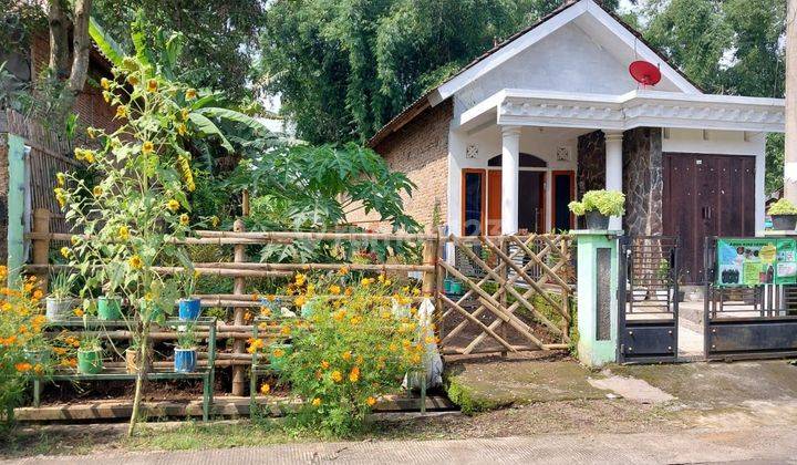 Rumah Dan Tanah Luas Asri Sejuk Bagus Untuk Homestay Dekat Gn Bromo 1