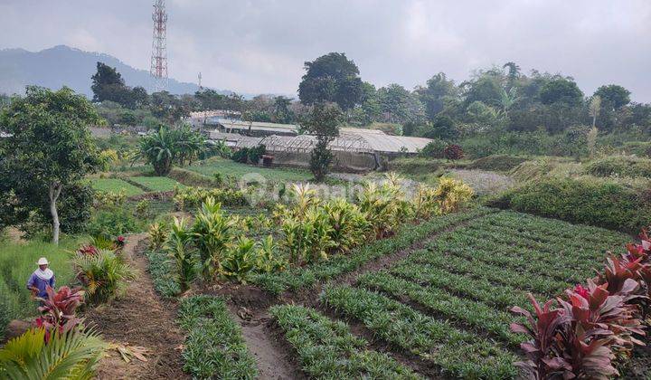 Tanah Luas Strategis View 360 Sejuk Subur Asri Di Banaran Batu 2