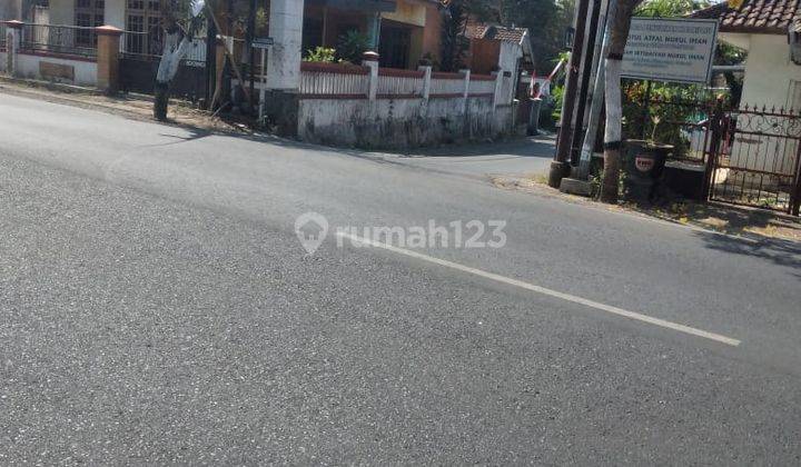 Tanah Murah Pinggir Jalan Subur Dan Strategis di Pendem Junrejo Kota Batu 2