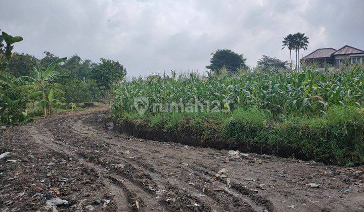 Tanah Luas Strategis Harga Murah Tanaman Subur Di Bumiaji Batu 1