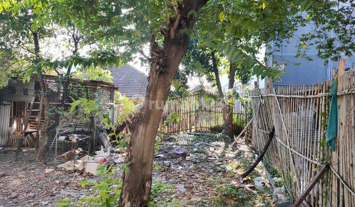 Rumah Strategis Poros Jalan Cocok Untuk Usaha di Sisir Kota Batu 2