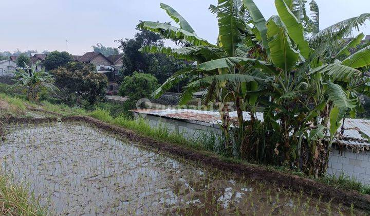 Tanah Sawah Luas Kondisi Subur Dan Produktif 200 Jutaan Di Mojokerto  2