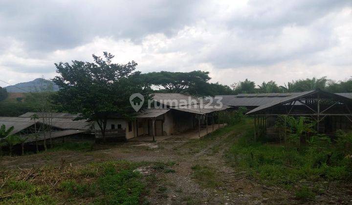 Dijual Lahan Tanah Jalur Puncak 2 Bukit Ciherang Bogor  2