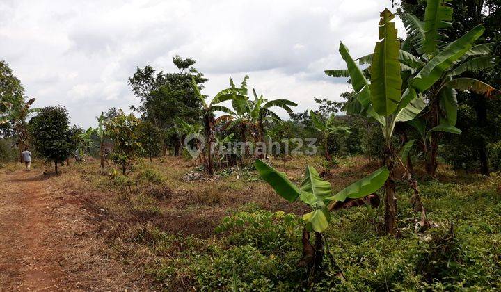  Dijual Tanah di Jonggol Bogor 1