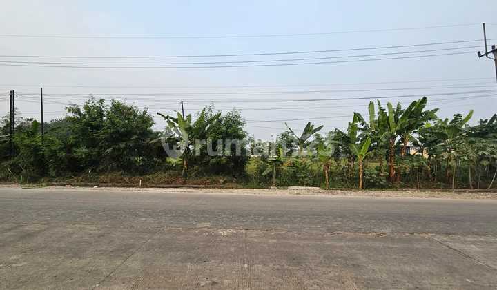 Tanah Cocok Untuk Gudang dan Pabrik di Jalan Raya Cikande, Rangkasbitung, Banten