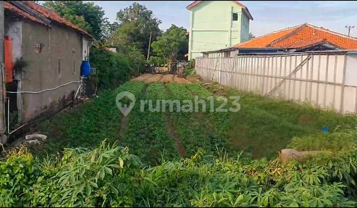 Tanah SHM Luan 649 Pinggir Jalan Babelan Bekasi Bisa Untuk Usaha Tanah SHM Luan 649 Pinggir Jalan Babelan Bekasi Bisa Untuk Usaha