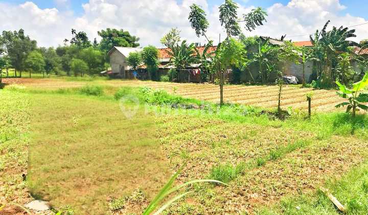 Tanah SHM Luas 2.480 Di Babelan Lokasi Pinggir Jalan Raya Bekasi Tanah SHM Luas 2.480 Di Babelan Lokasi Pinggir Jalan Raya Bekasi