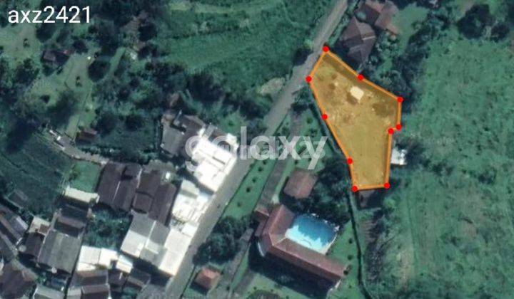 JUAL TANAH NOL JALAN TRAWAS BISA BUAT VILLA/ USAHA 2