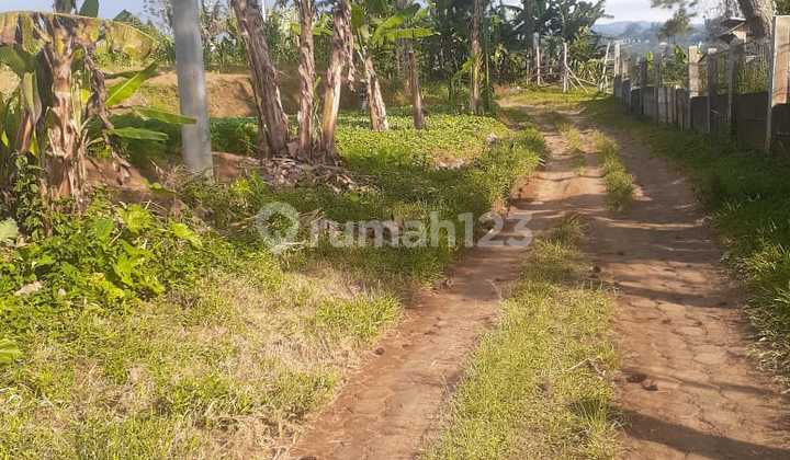 Dijual Tanah Murah Cocok Untuk Investasi  2