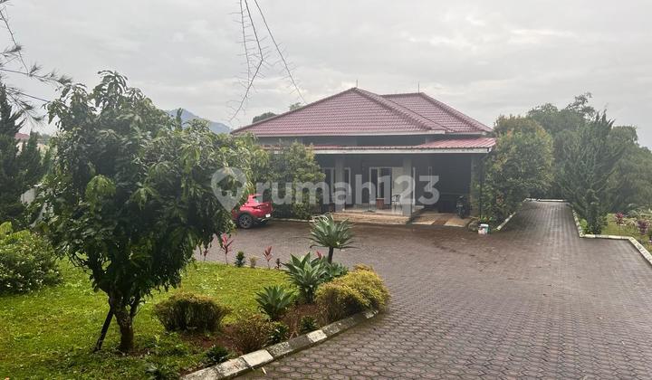 Cheap villa near Cipanas, large plot in Ciputri, Pacet, Cianjur.